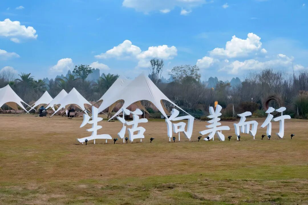 花间集案例封面图