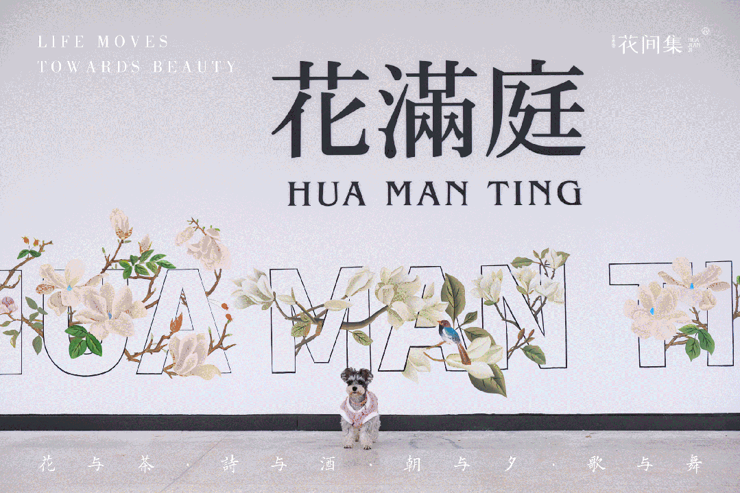 花间集项目主图