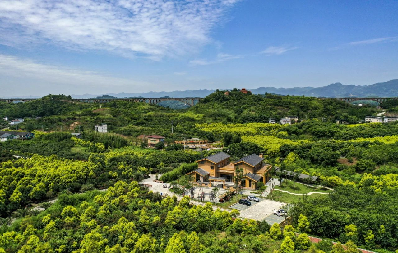 东升村·小丰年项目运营现场
