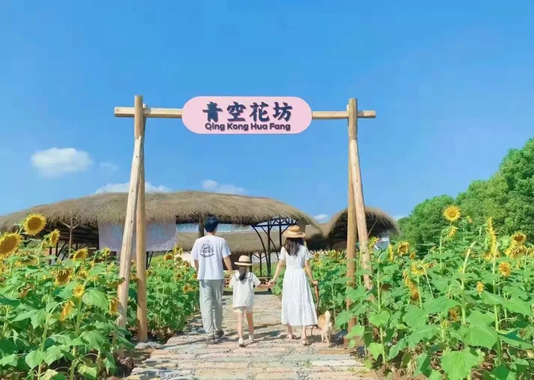 小桃园项目主图